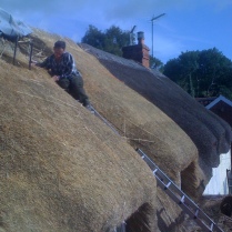 Combed wheat reed re-thatch in Chaffcombe